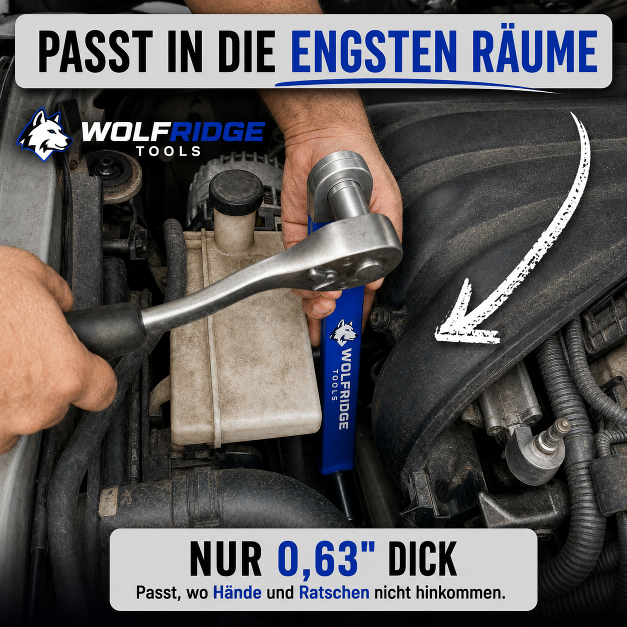 Wolfridge